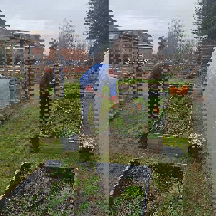 Volunteer in community garden