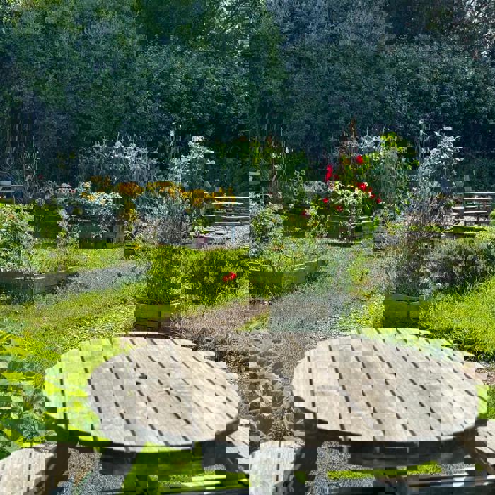 Ysgol Amgylcheddol ym Mannau Gardd Cymunedol y Foothold