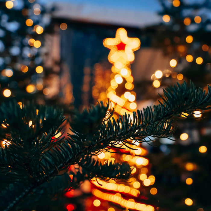 Christmas Tree Lighting