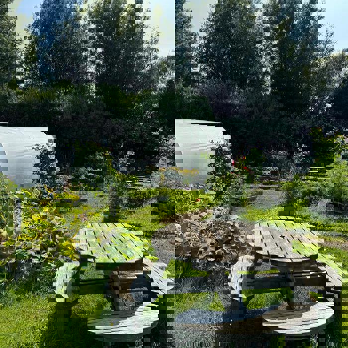 Foothold Community Garden in the sunshine