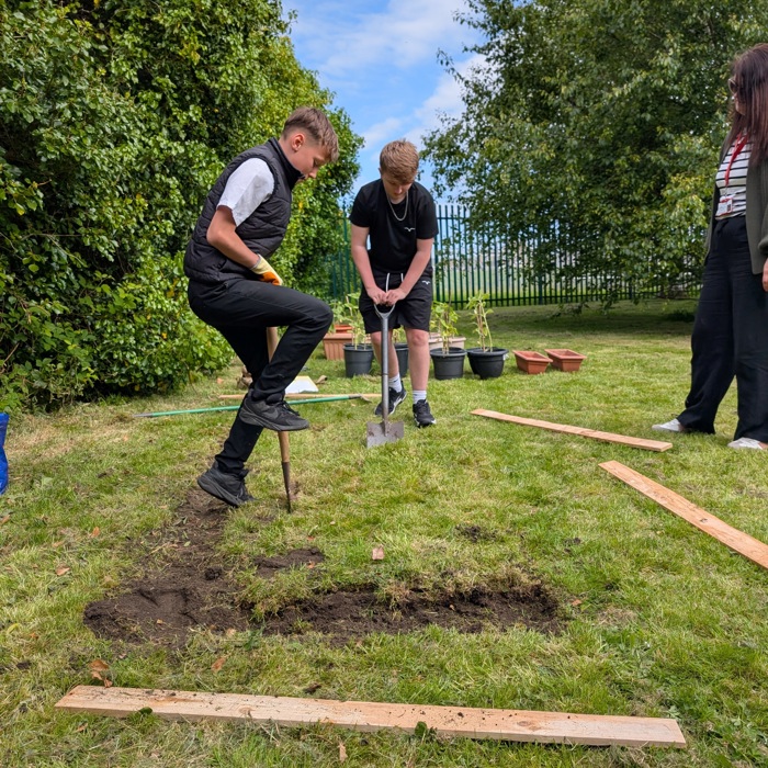 Autumn Harvest Coedcae Grow Project